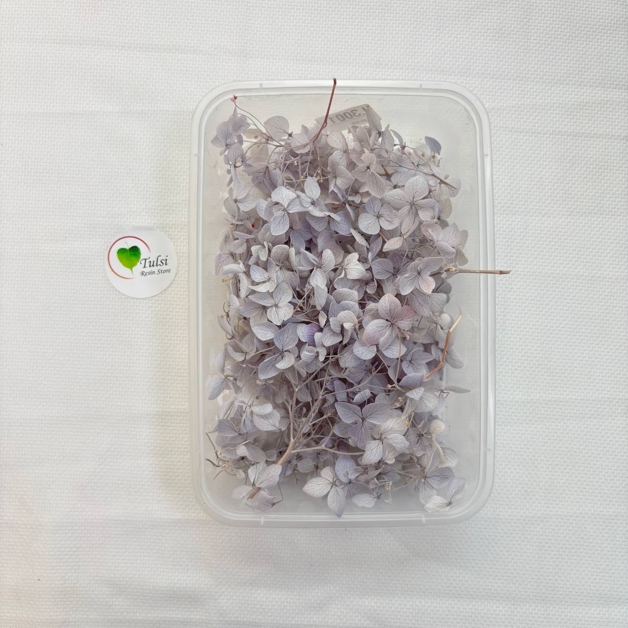 Hydrangea Dry Flower Box - (D)
