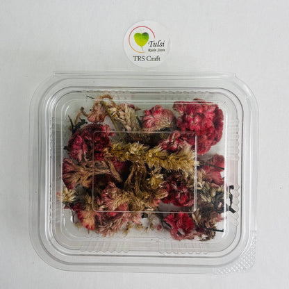 Celosia Dry Flower Box