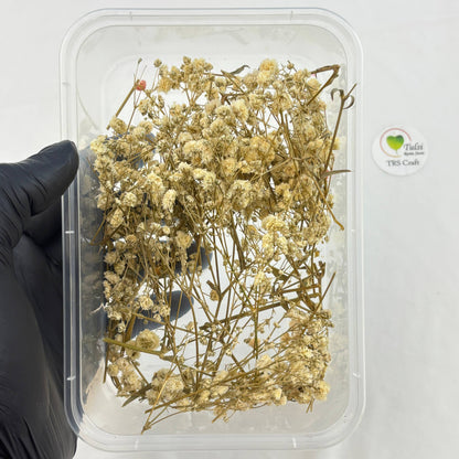 Gypsy Flower Box - (J)