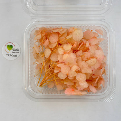 Hydrangea Dry Flower Box - (K)