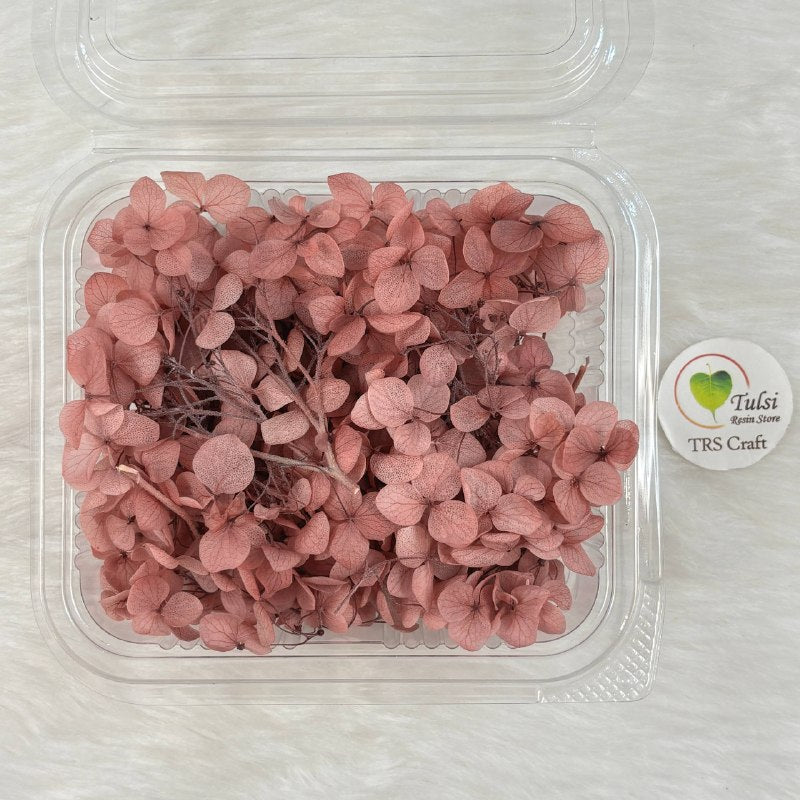 Hydrangea Dry Flower Box - (I)