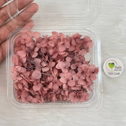 Hydrangea Dry Flower Box - (I)