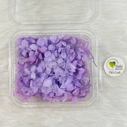 Hydrangea Dry Flower Box - (N)