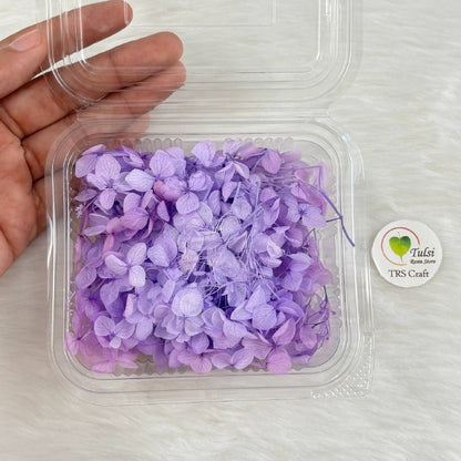Hydrangea Dry Flower Box - (N)