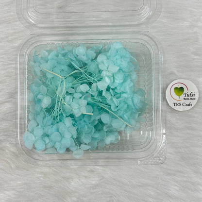 Hydrangea Dry Flower Box - (M)