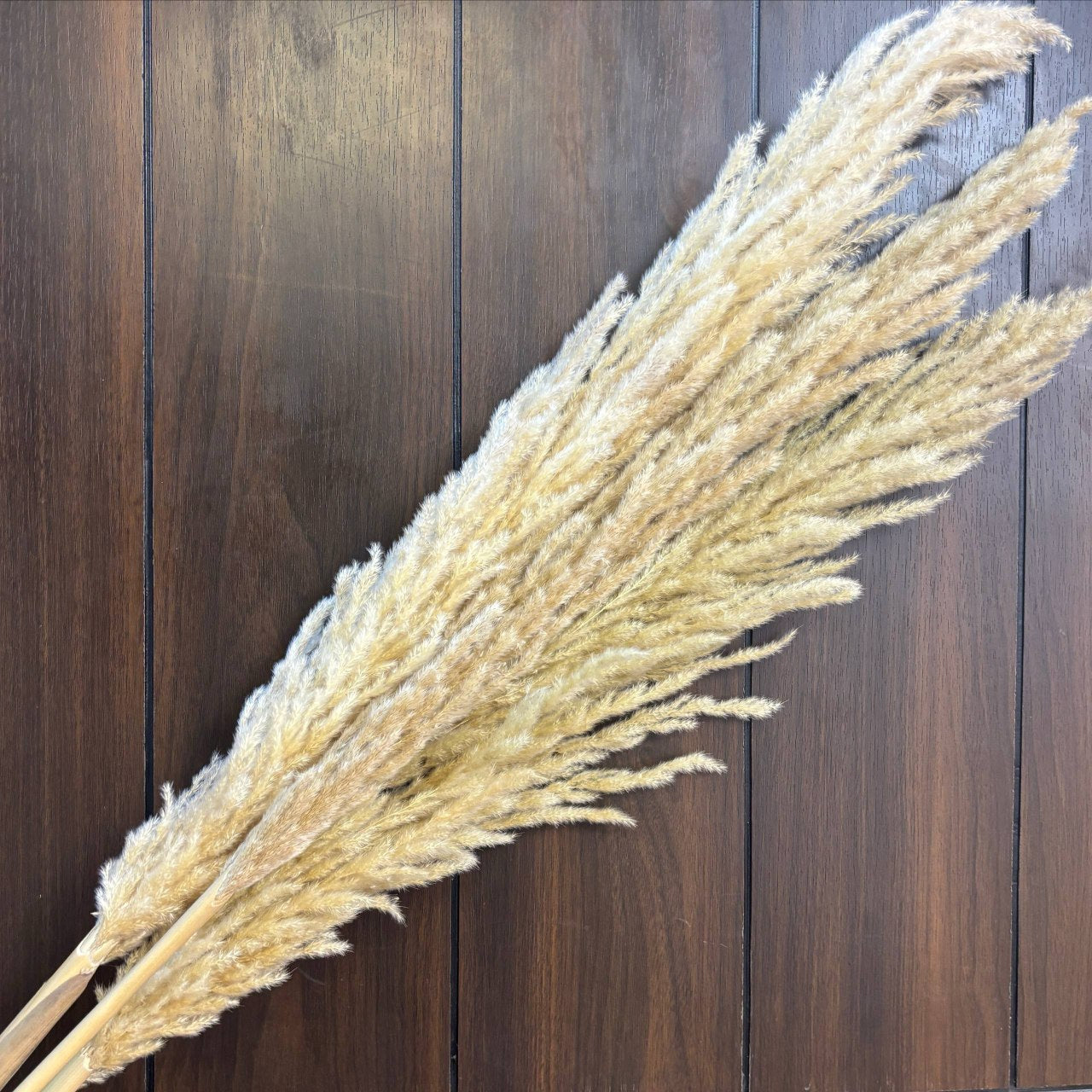 White Pampas Feather Stick (2 Pcs)