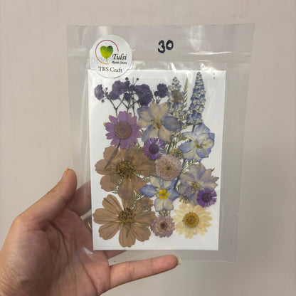 Pressed Flower Sheet Code - H - - tulsiresin