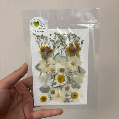 Pressed Flower Sheet Code - Q