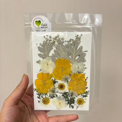 Pressed Flower Sheet Code - P