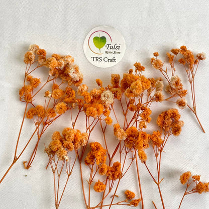 Gypsy Flower Box - (E)