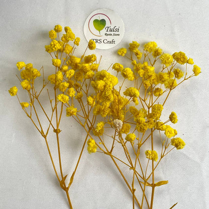 Gypsy Flower Box - (H)