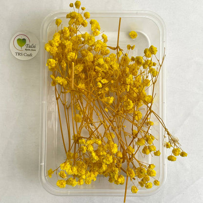 Gypsy Flower Box - (H)