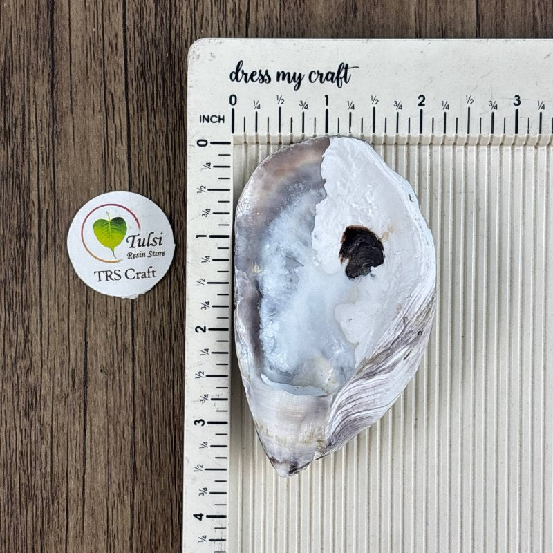 Oyster Shells - Raw