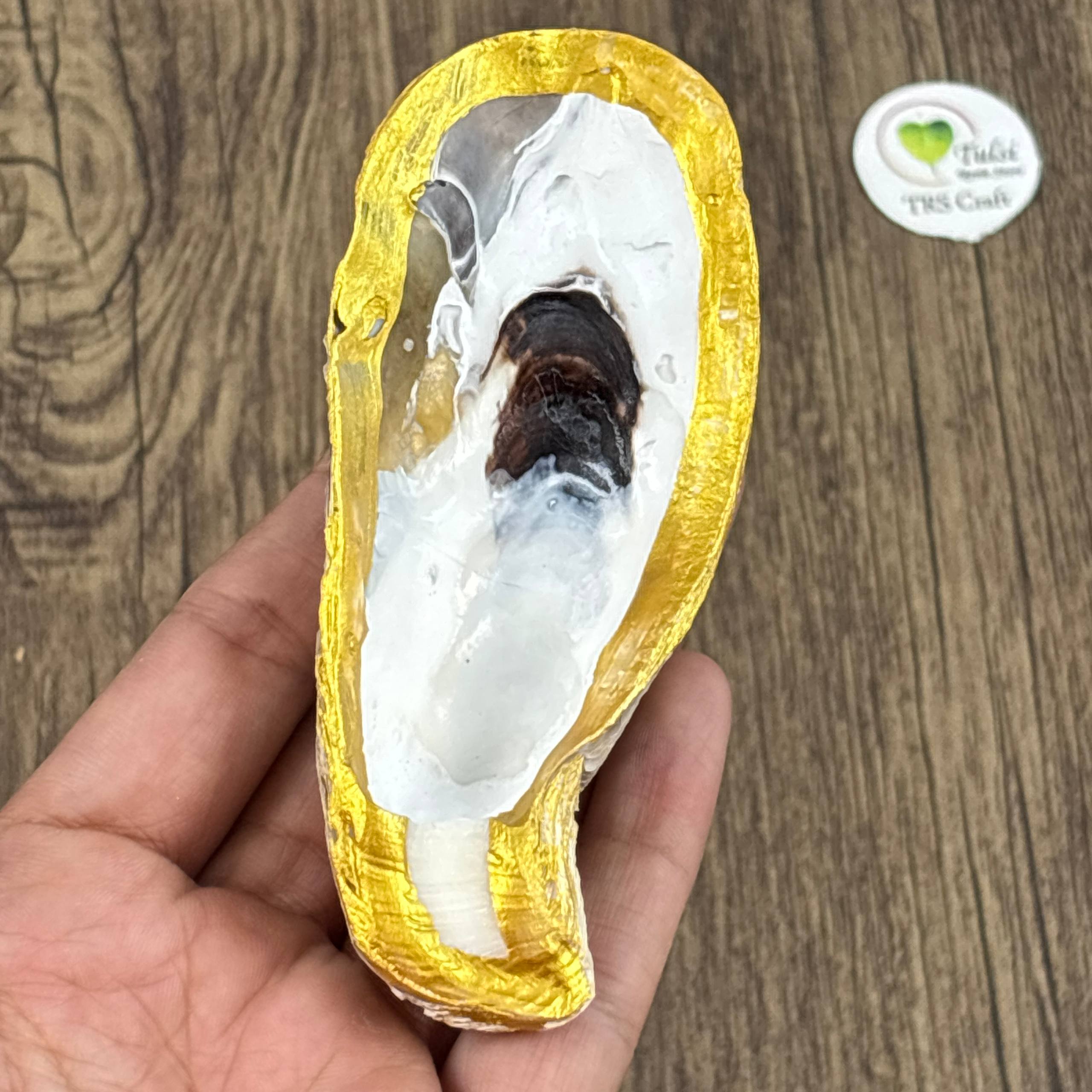 Oyster Shells - Gold Paint Edges