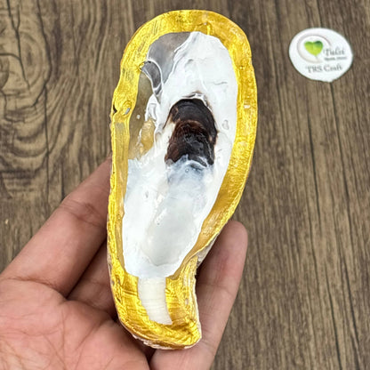 Oyster Shells - Gold Paint Edges