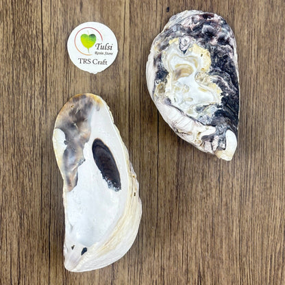 Oyster Shells - Raw