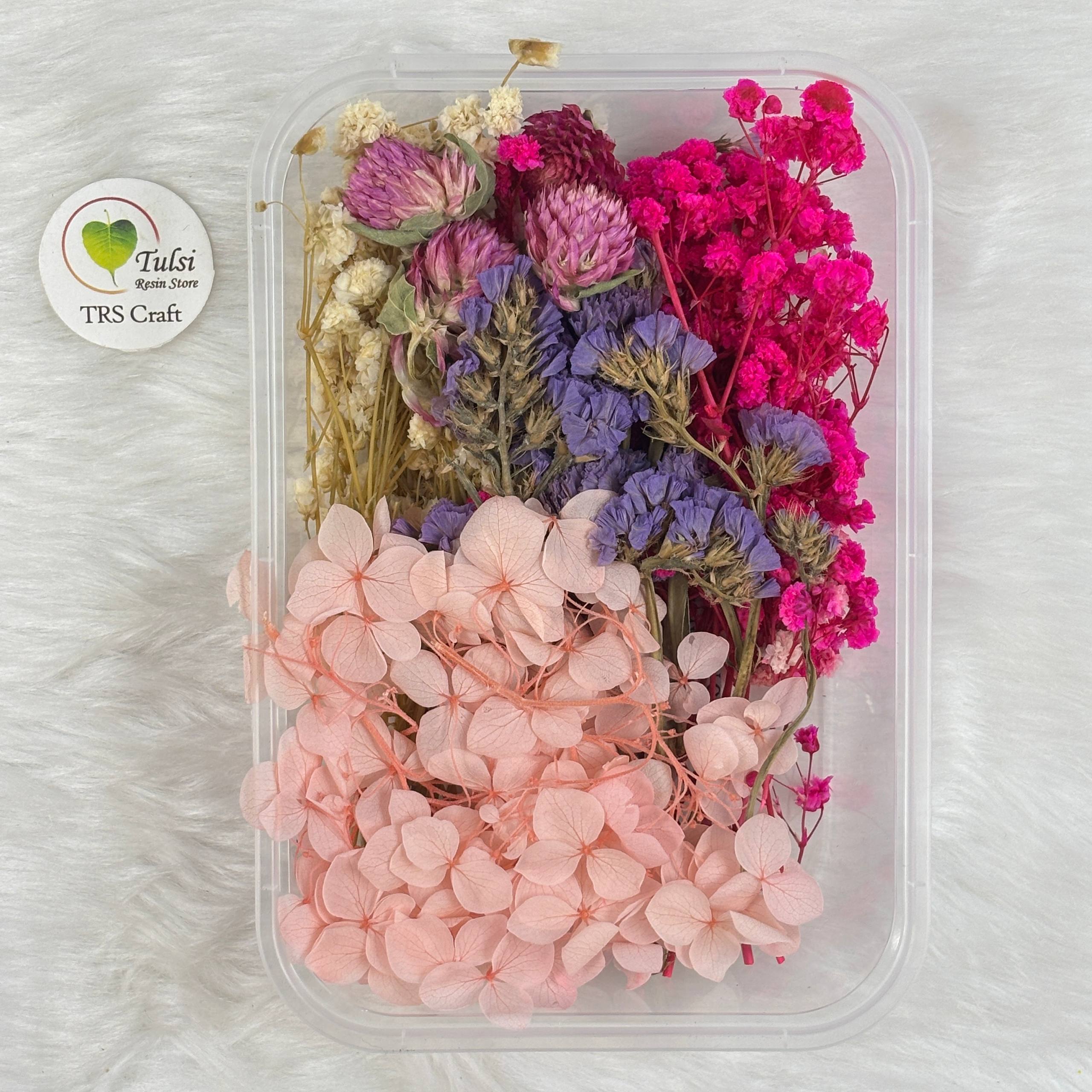Dry Flower For Resin Art Code - I
