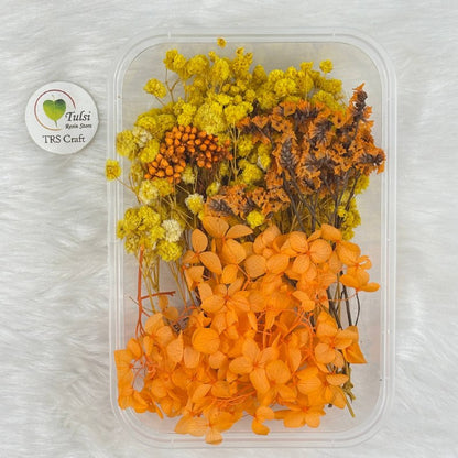 Dry Flower For Resin Art Code - B