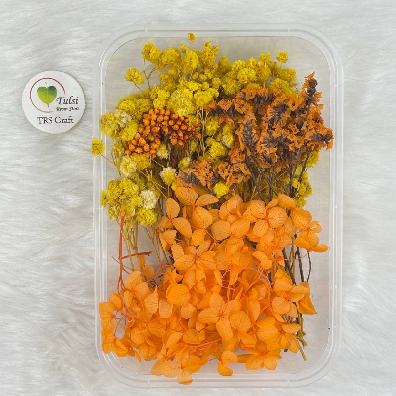 Dry Flower For Resin Art Code - B