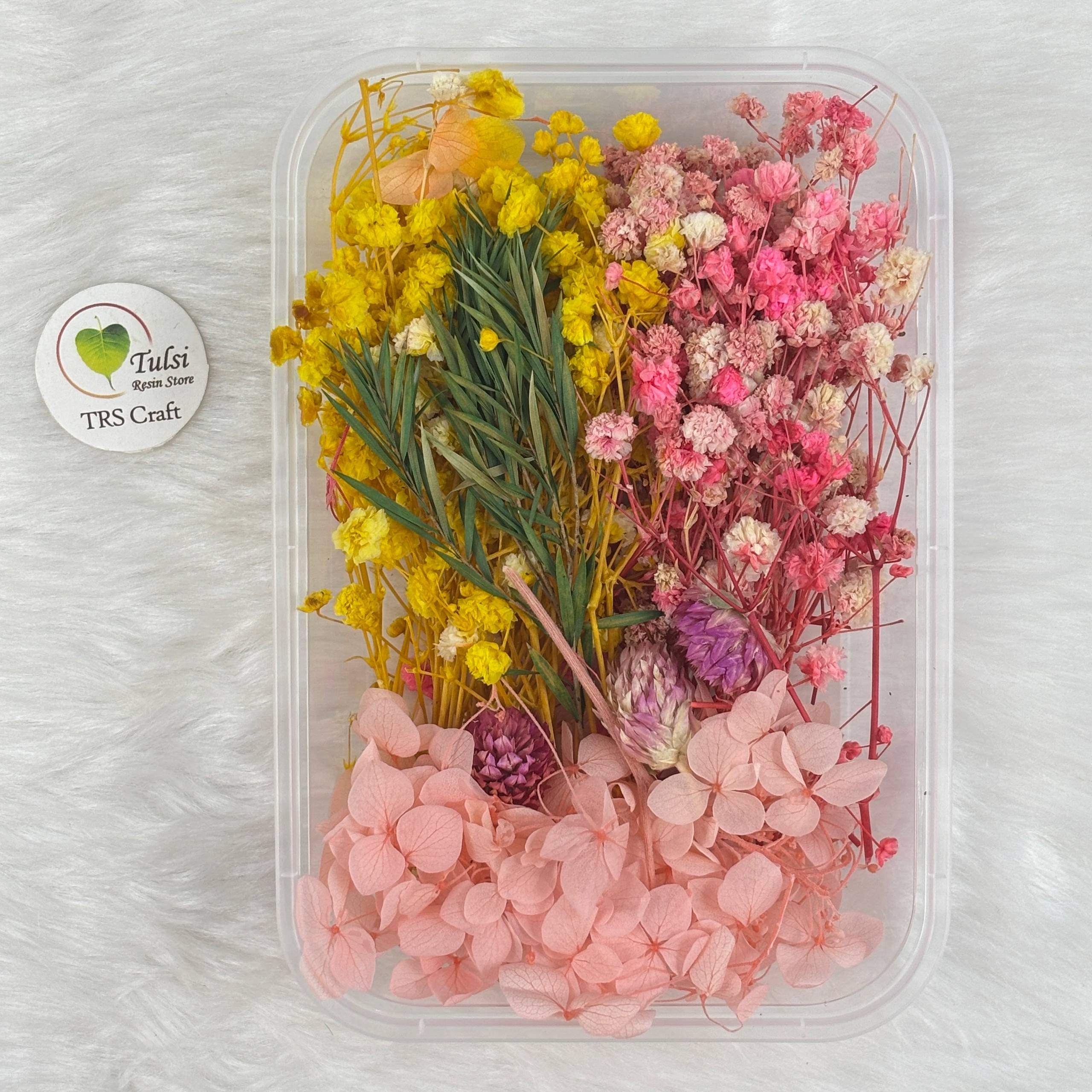 Dry Flower For Resin Art Code - I