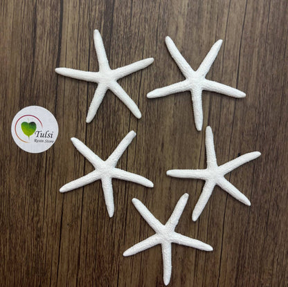Resin Starfish (B) - Medium