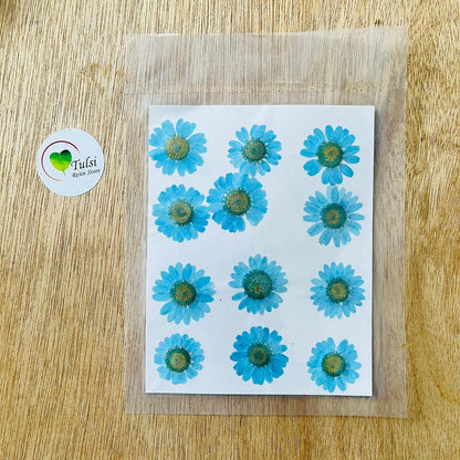 Daisy Flower Sheet