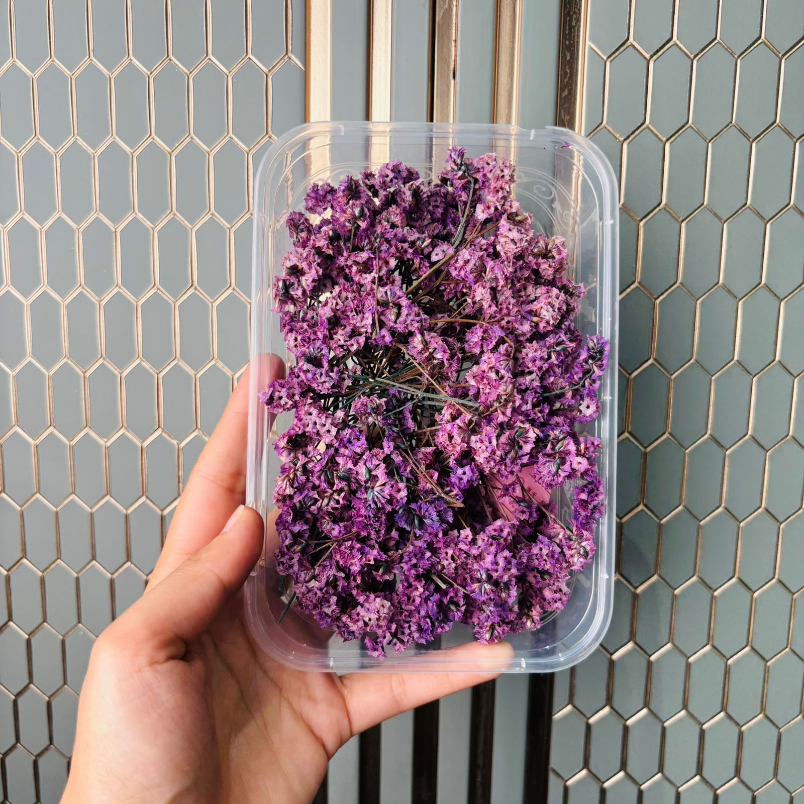 Limonium Flower Box -F