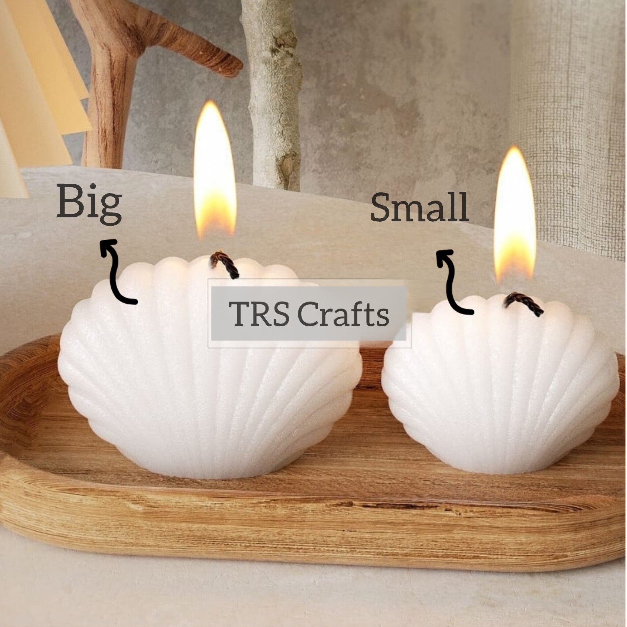 Shell Candle Mould (B) - Small