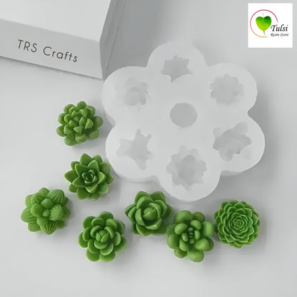 Mini Succulent Plant Mould