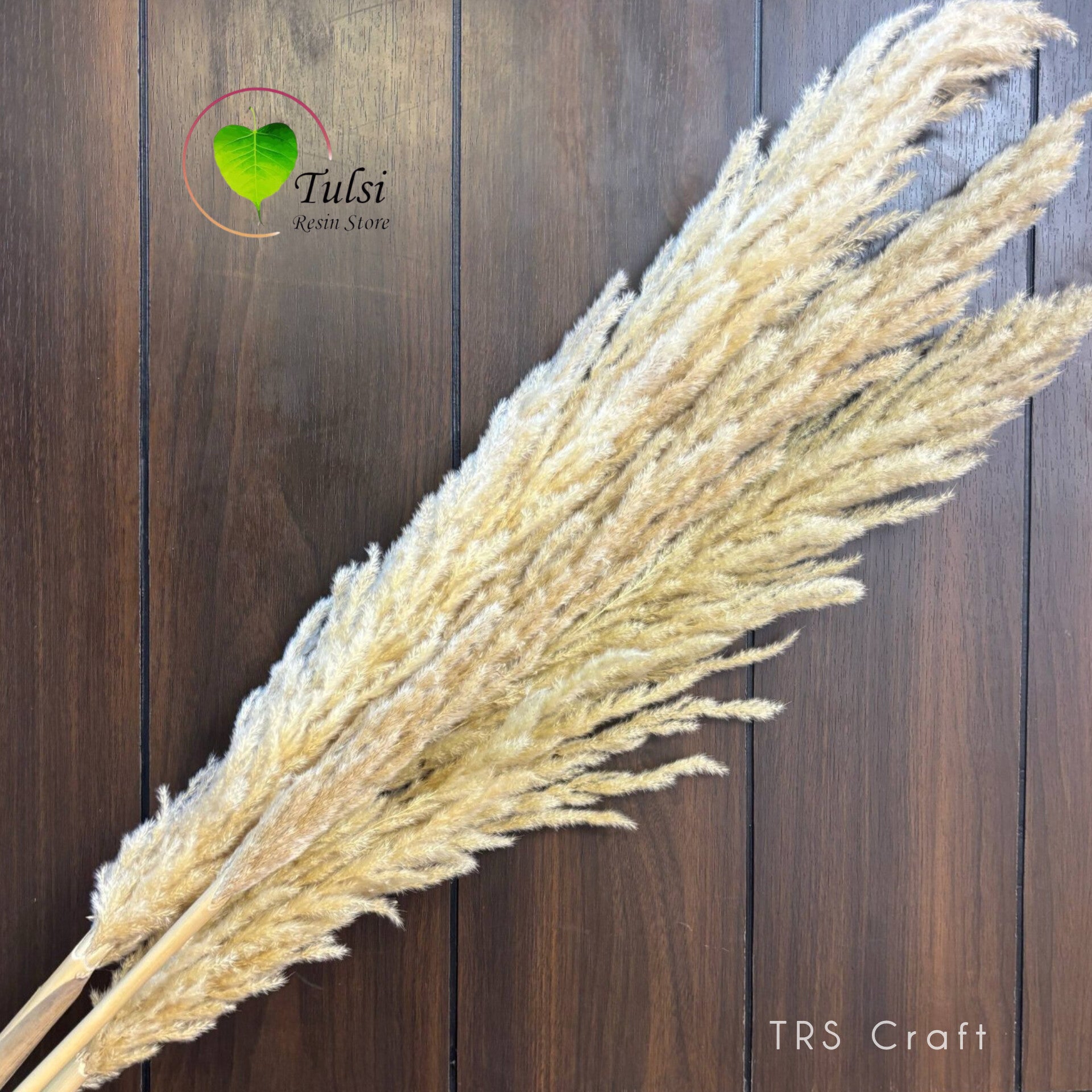 White Pampas Feather Stick (2 Pcs)