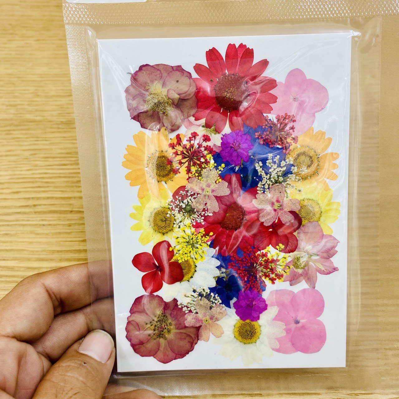 Pressed Flower Sheet MF - 22