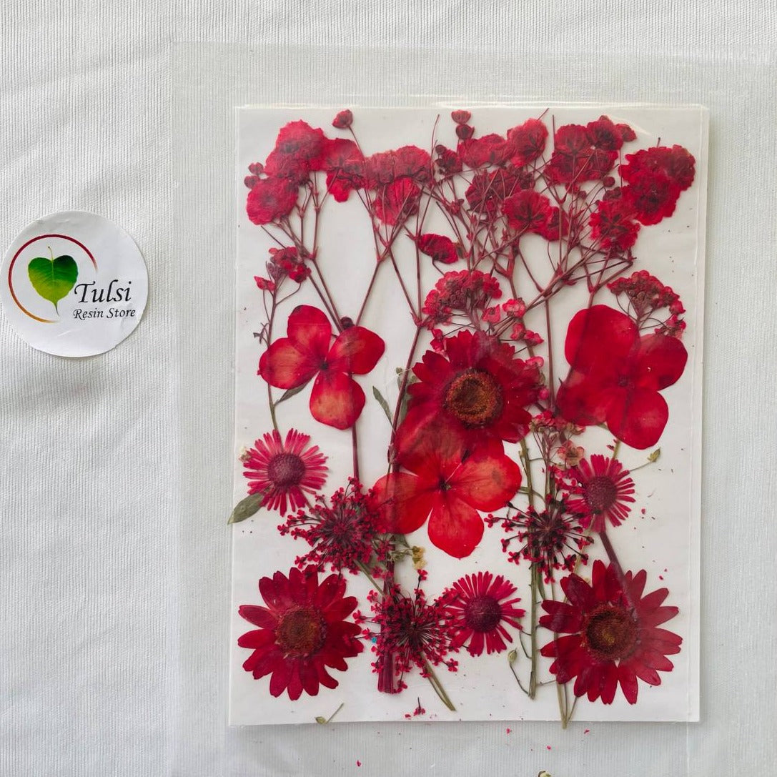 Small Pressed Flower Sheet R4