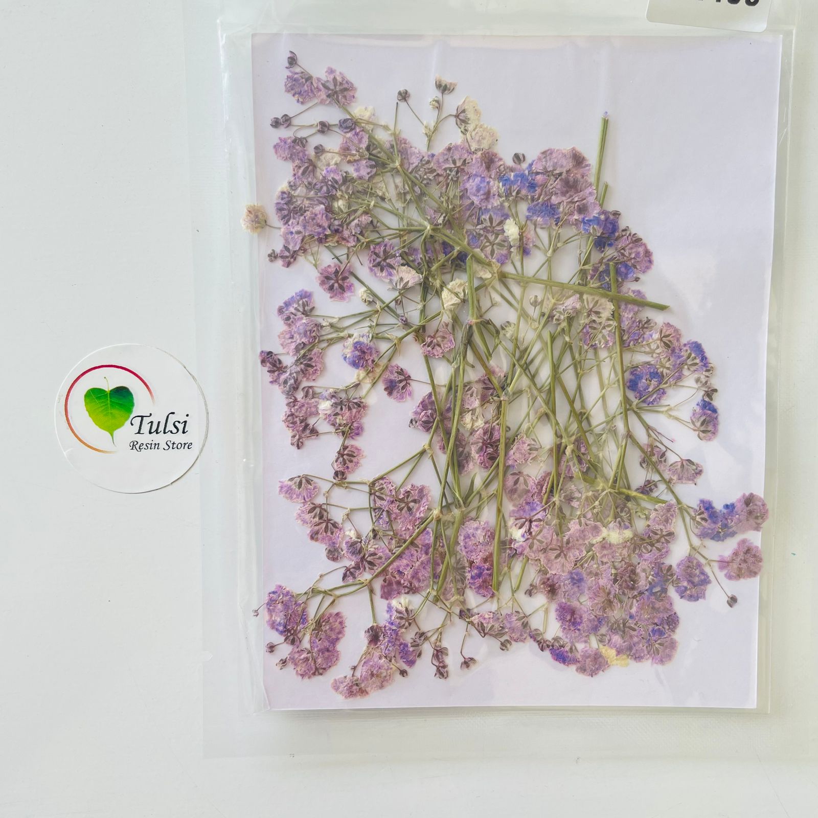 Pressed Baby Breath Flower Sheet B