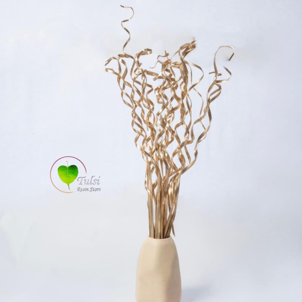 Dried Curly Palm Open Stem (5 Sticks)