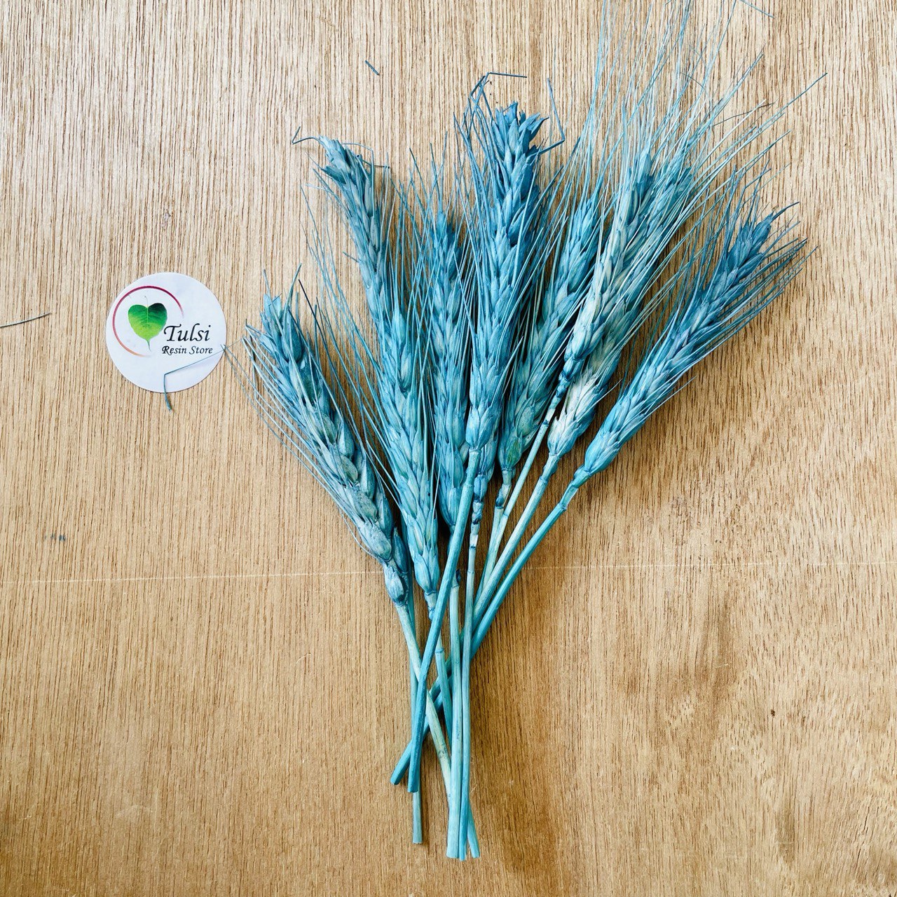 Dried Wheat Grass