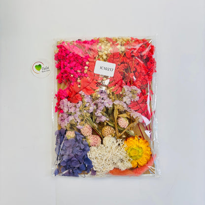 Mix Dry Flower Sheet - A4