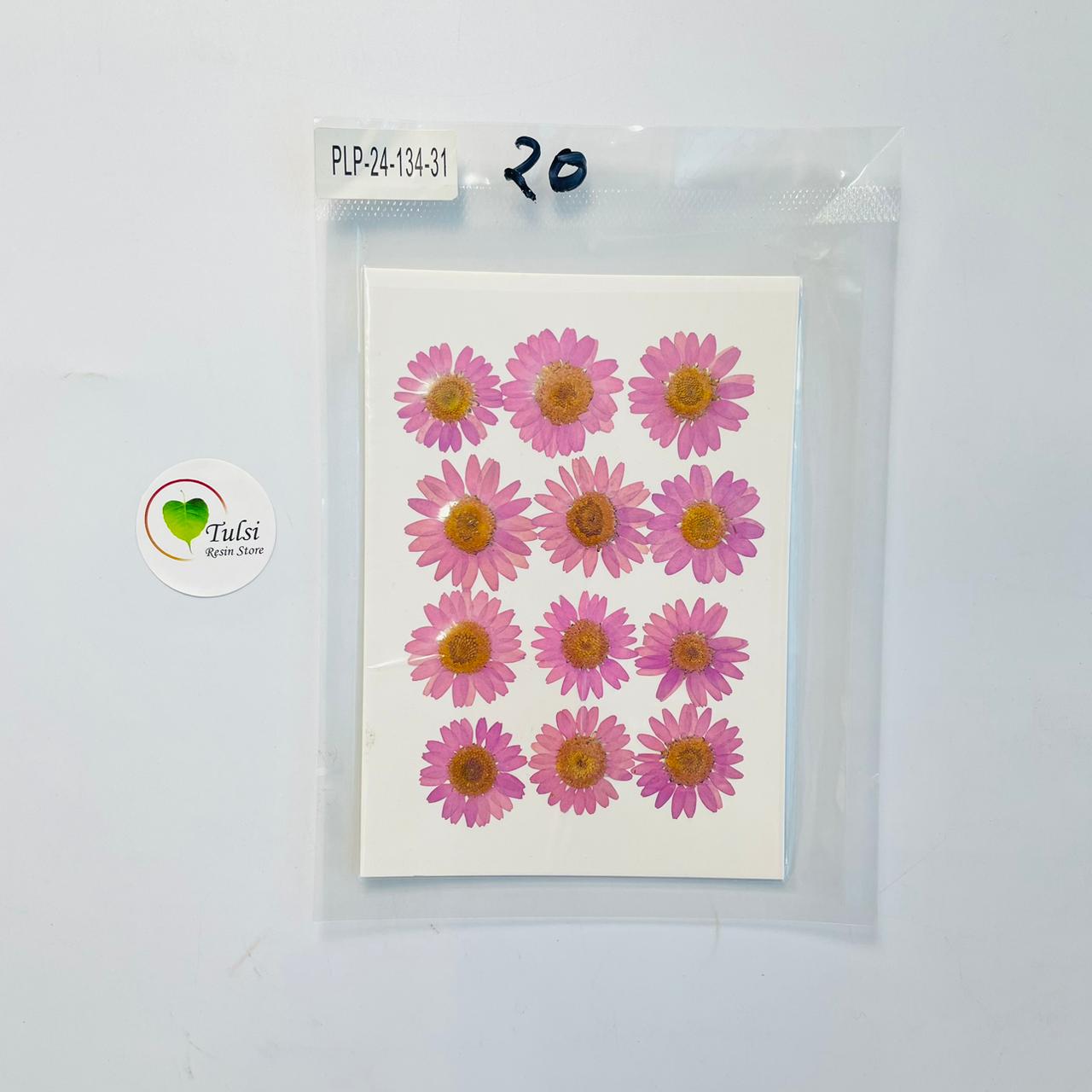 Daisy Flower Sheet