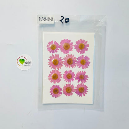 Daisy Flower Sheet