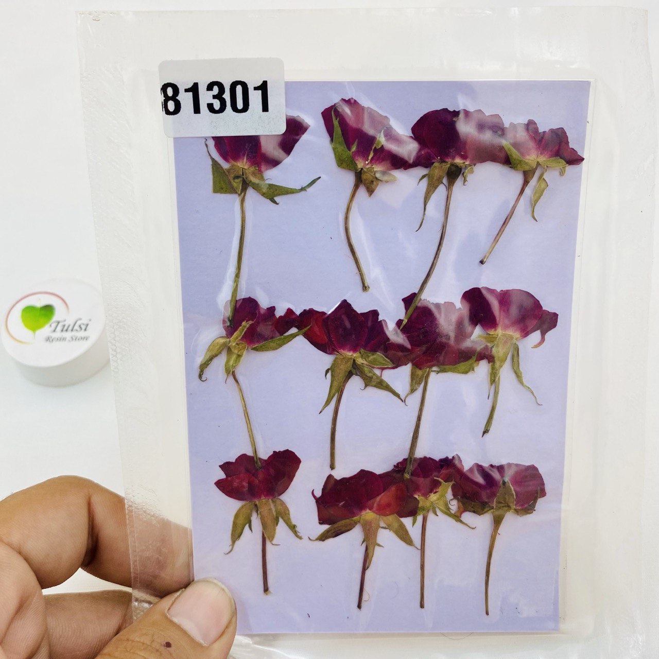 Pressed Flower Sheet- Half Rose