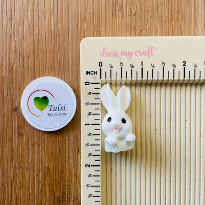 3D Rabbit Miniature (C)