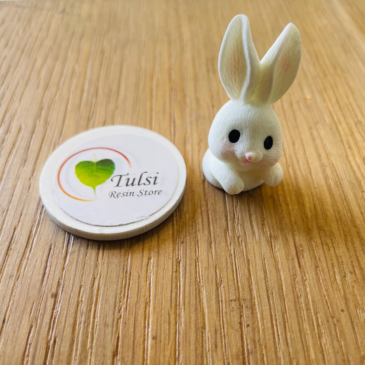 3D Rabbit Miniature (C)