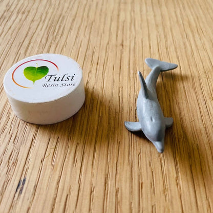 3D Dolphin Miniature (B)