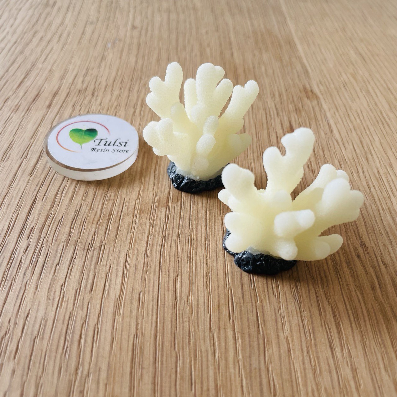 3D Coral Plant Miniature A (2 Pc)