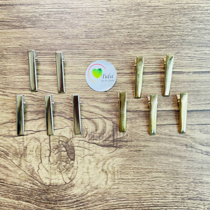 Medium Alligator Hair Clip - 1.5" (10 Pcs)