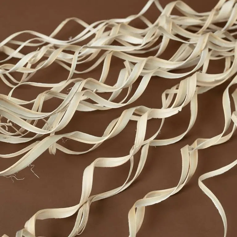 Dried Curly Palm Open Stem (5 Sticks)