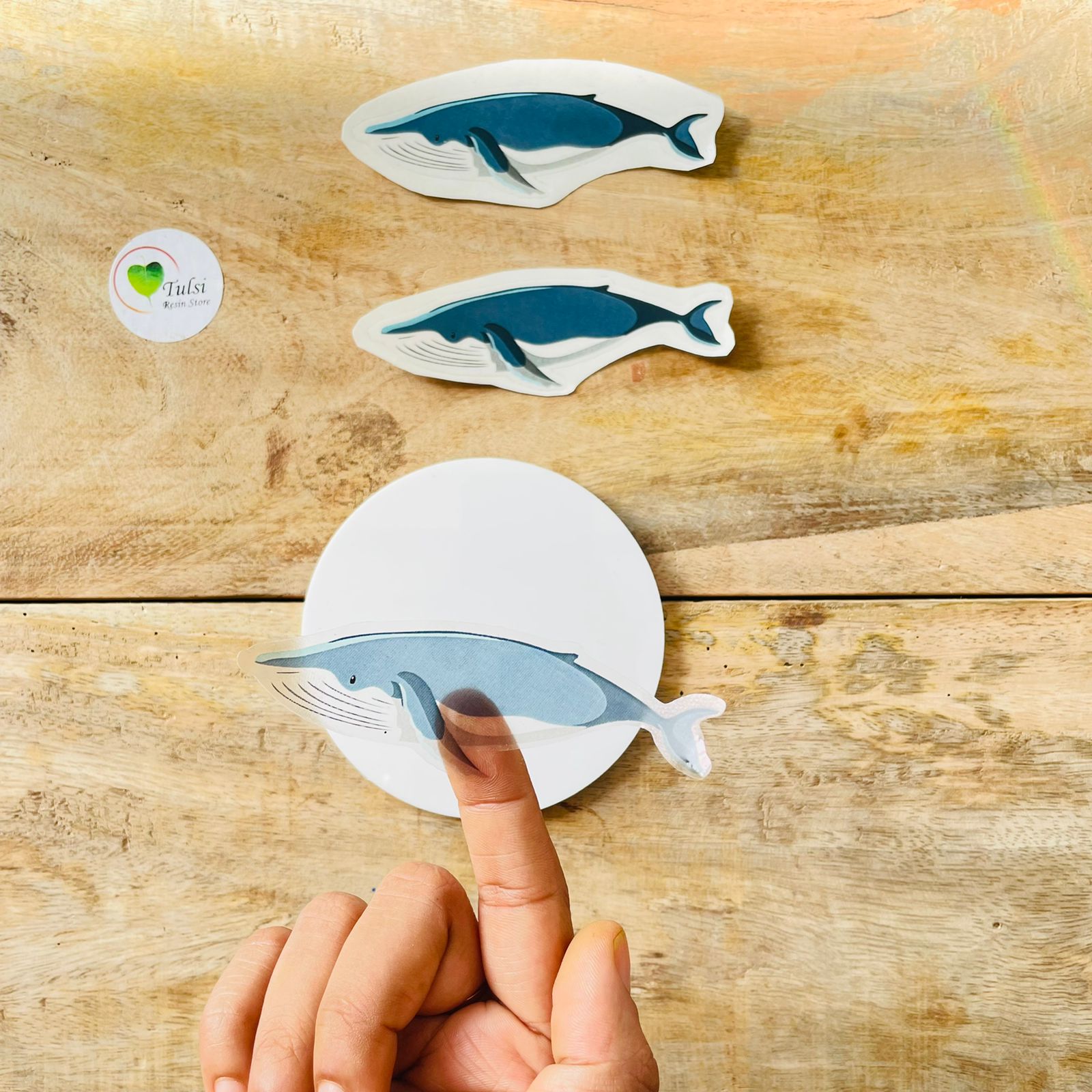 Blue transparent fish sticker