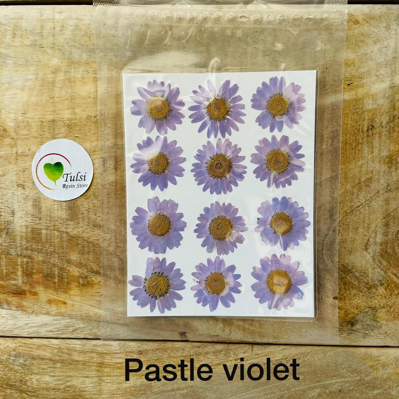 Daisy Flower Sheet