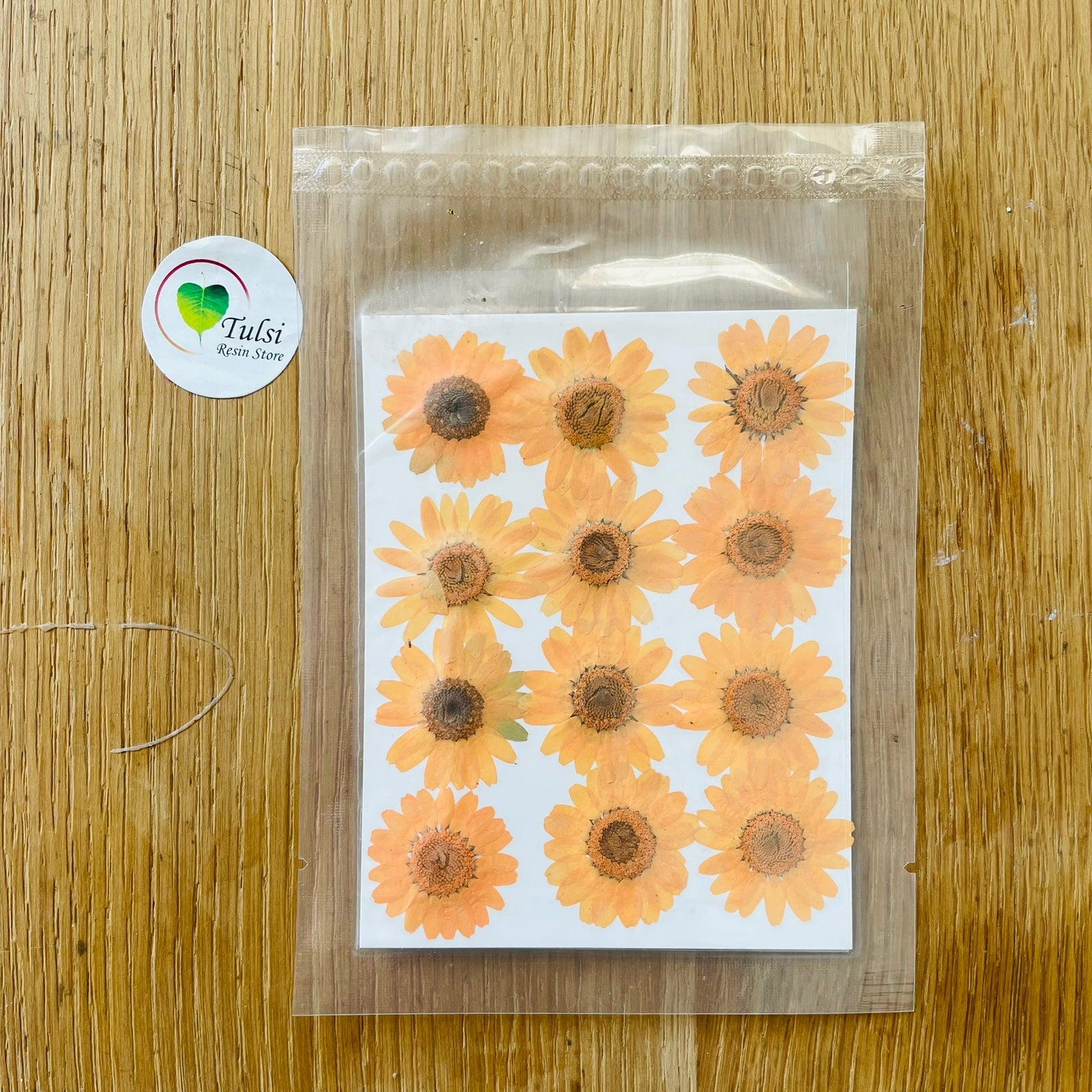 Daisy Flower Sheet