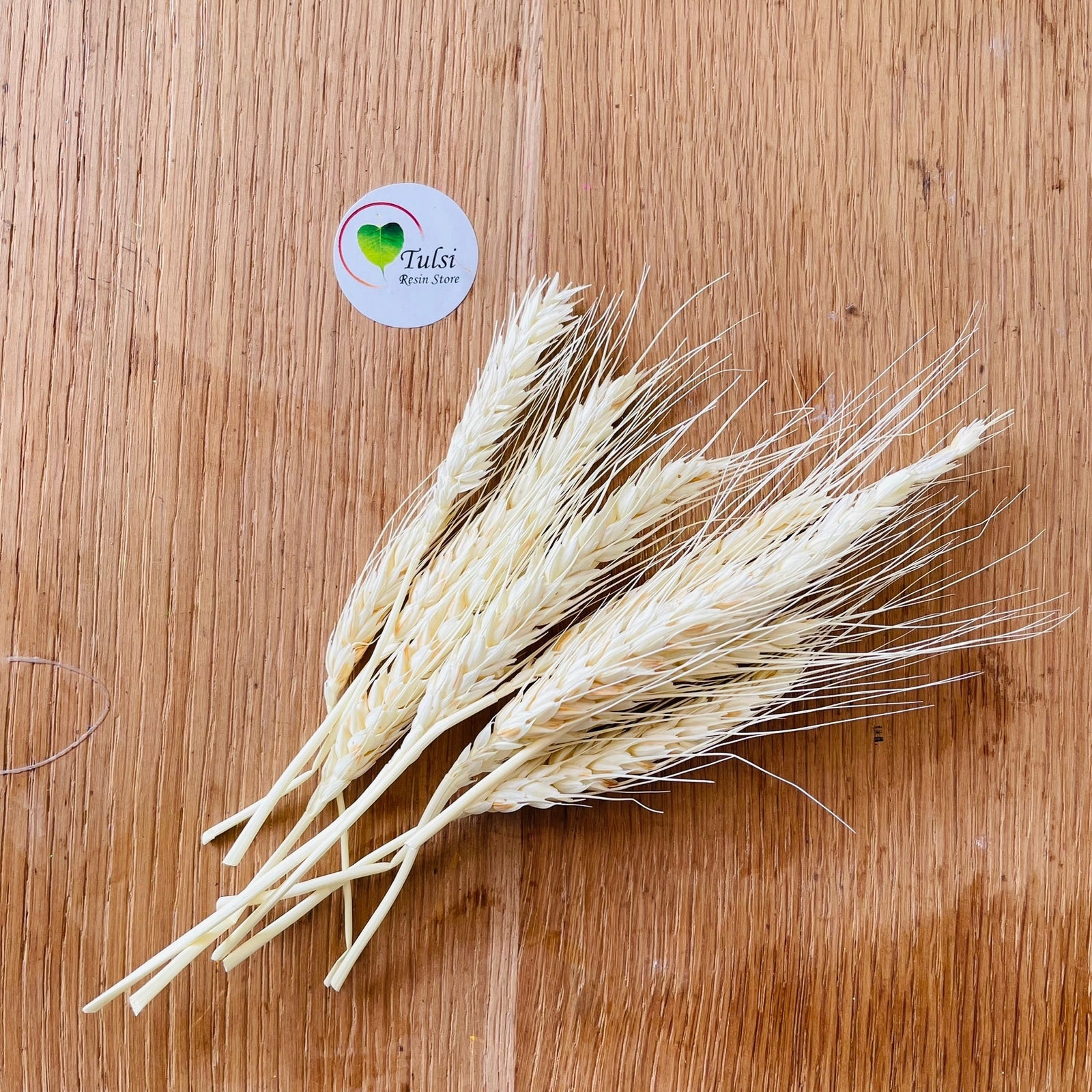 Dried Wheat Grass