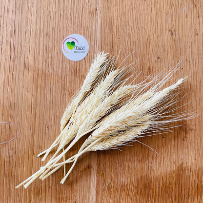 Dried Wheat Grass